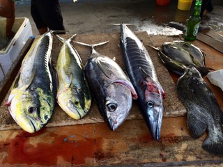 poissons martinique