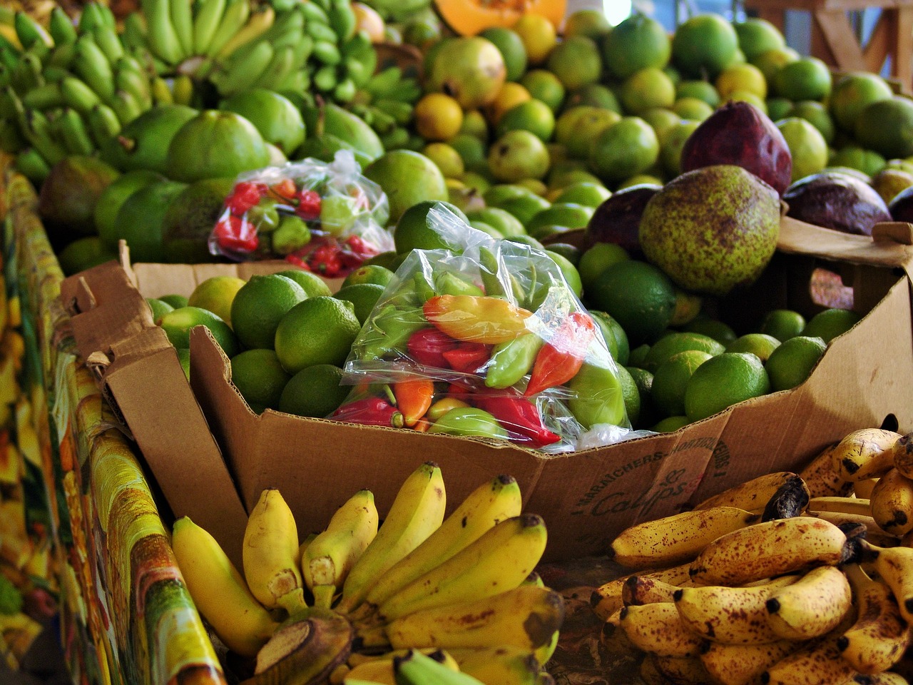 fruits courses martinique